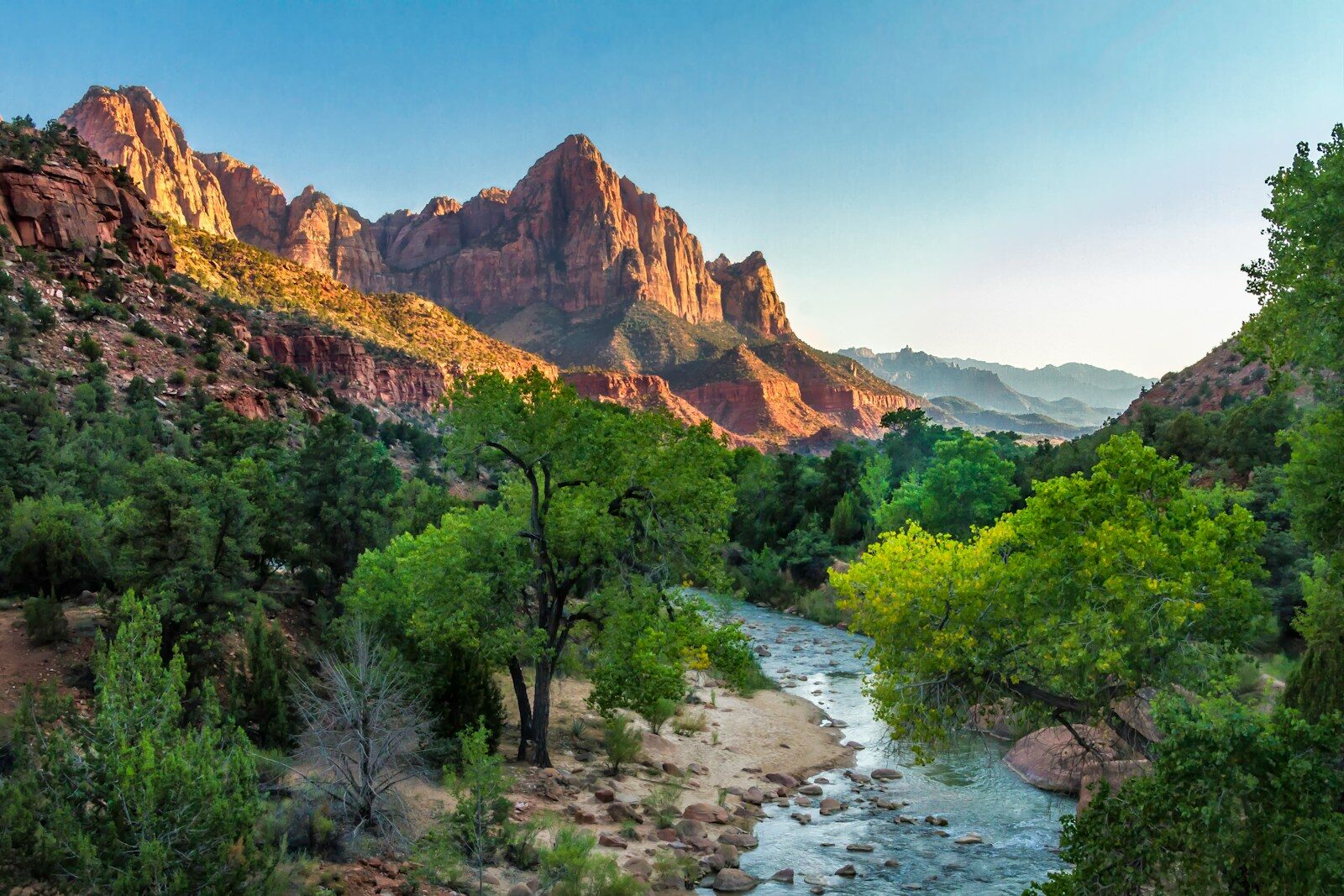 river surrounded with tall and green trees viewing mountain during daytime