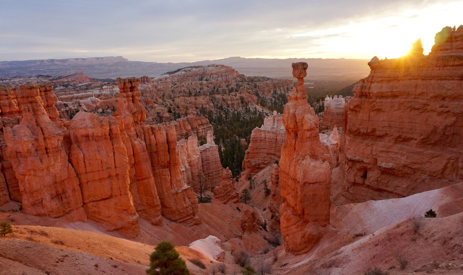 Photo by Tim Golder brown canyon