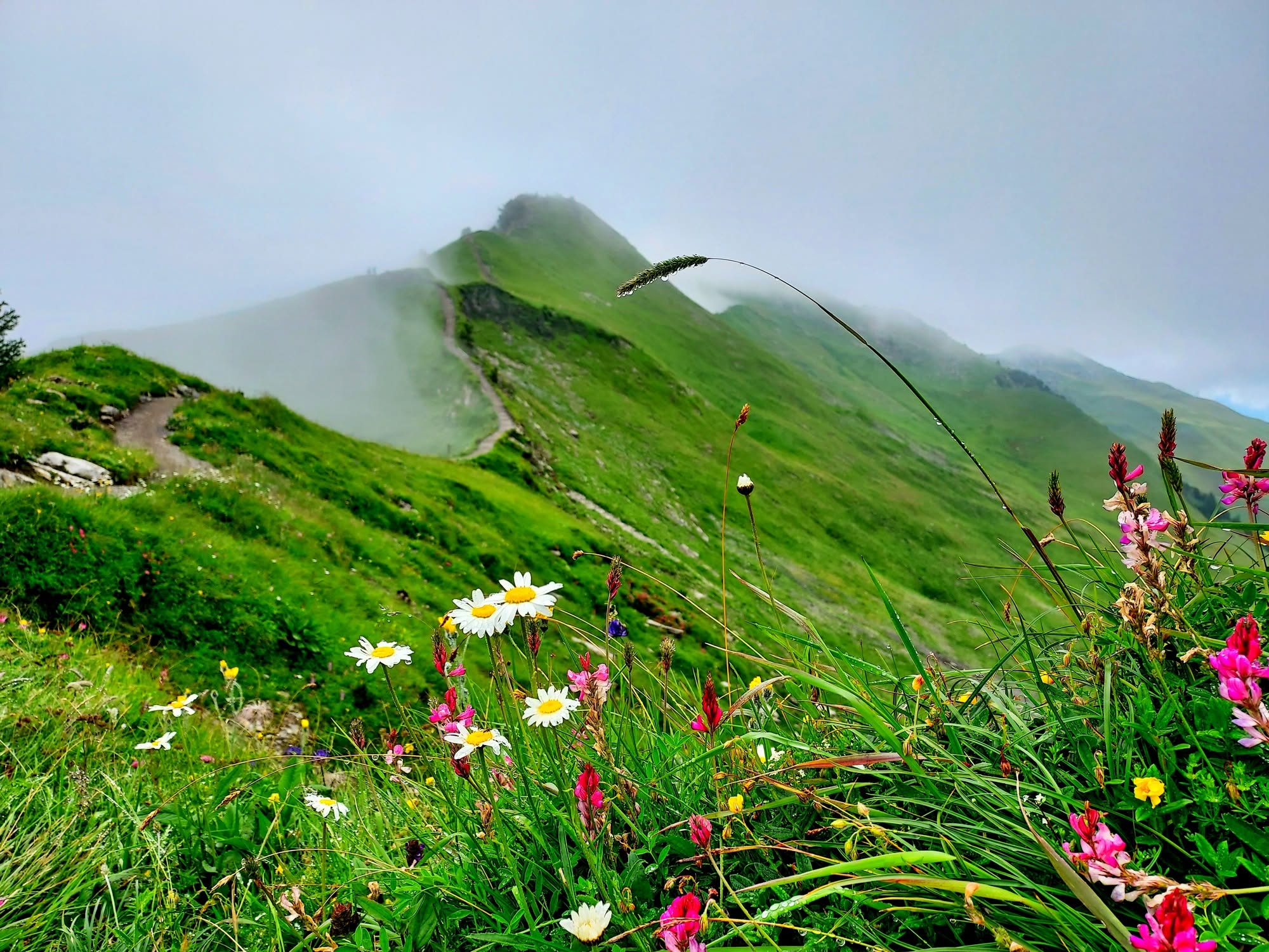stoos_ridge_hike1