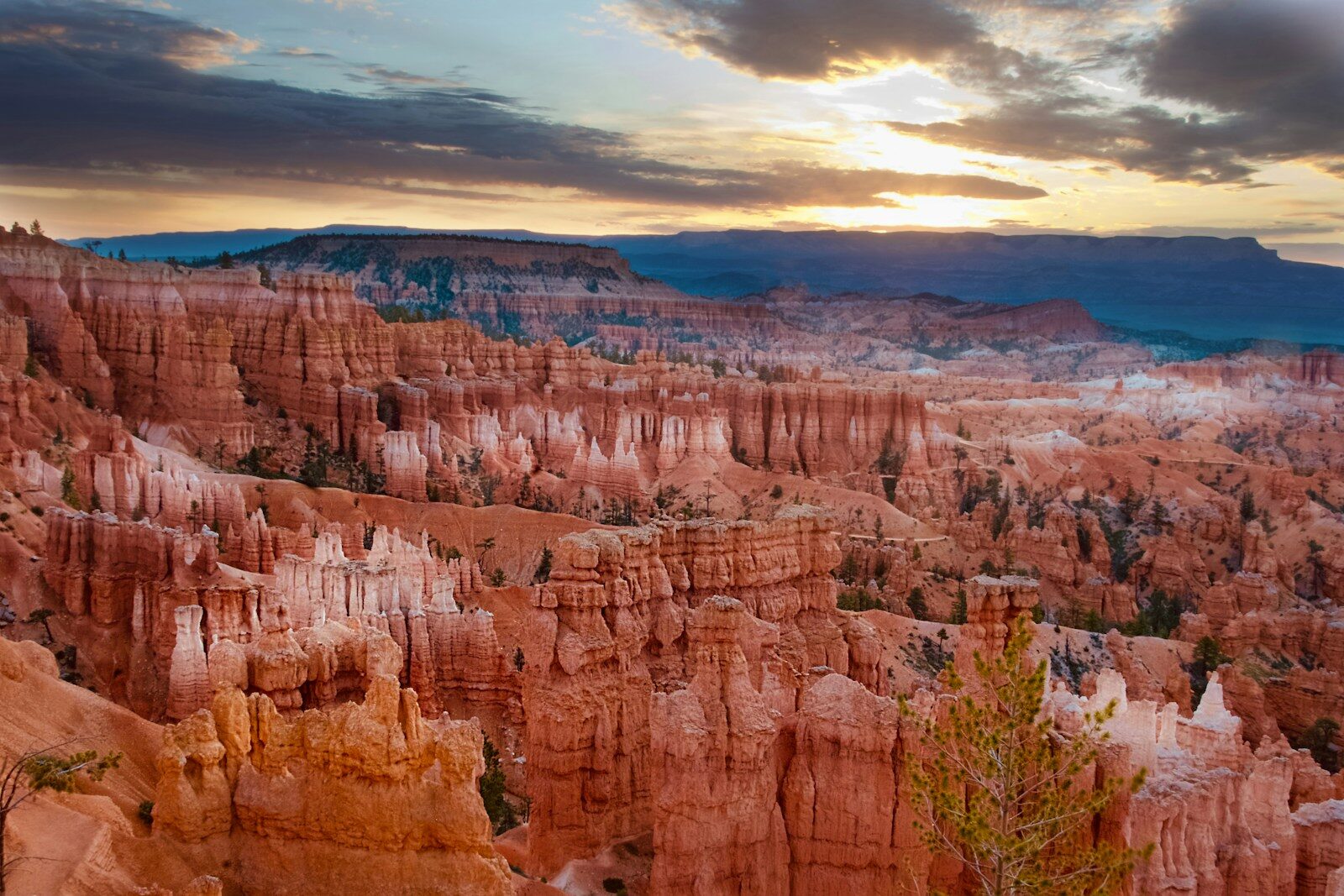 Photo by Joseph bae brown Grand canyon during daytime